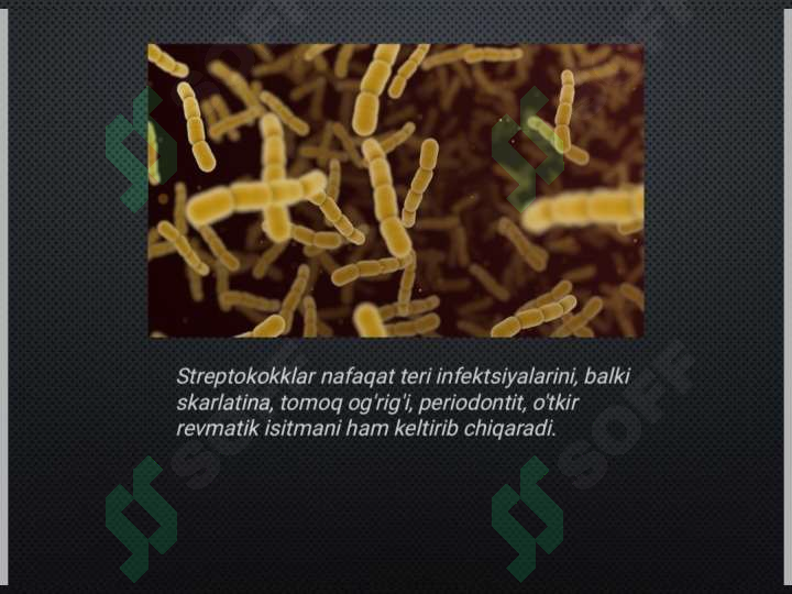 sellerImage