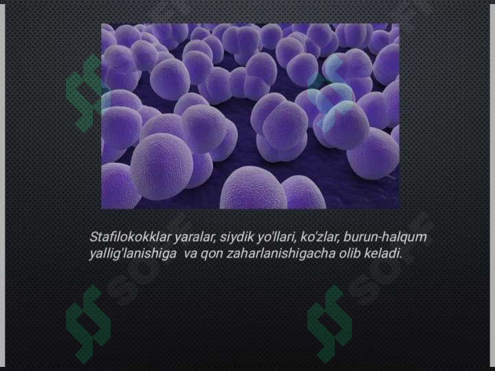 sellerImage