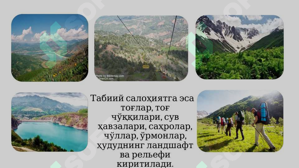sellerImage