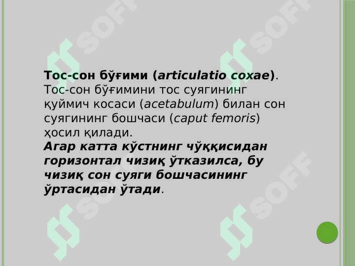 sellerImage
