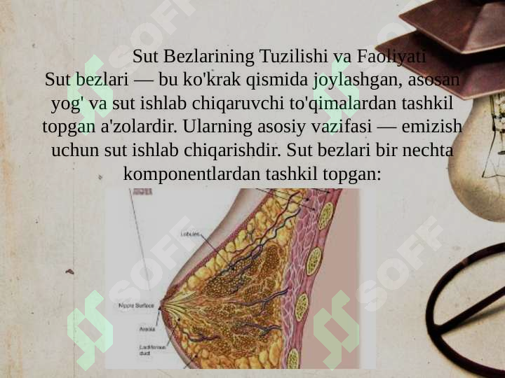 sellerImage
