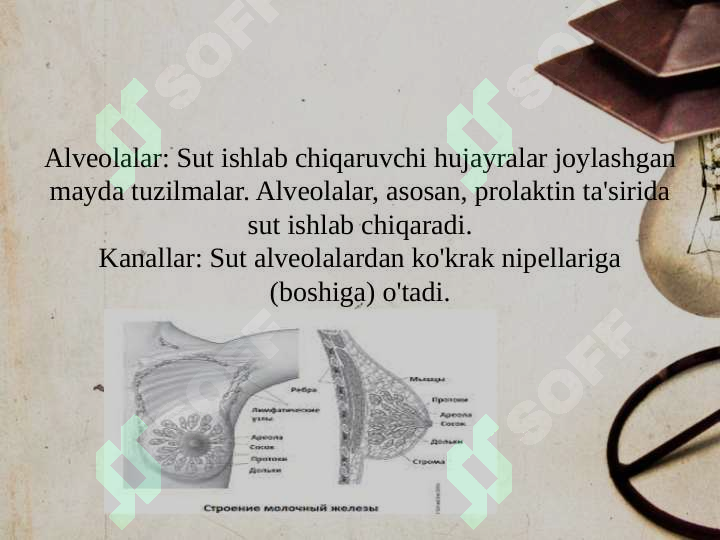 sellerImage