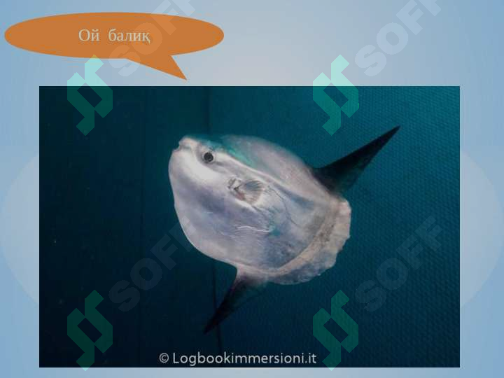 sellerImage