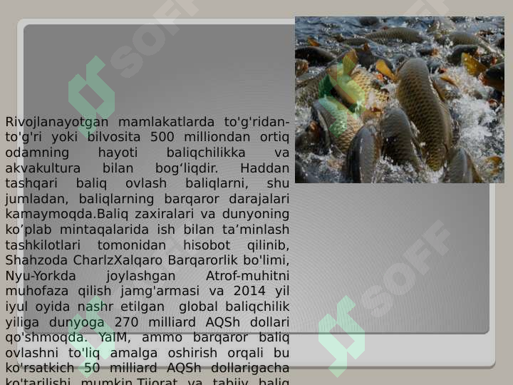 sellerImage