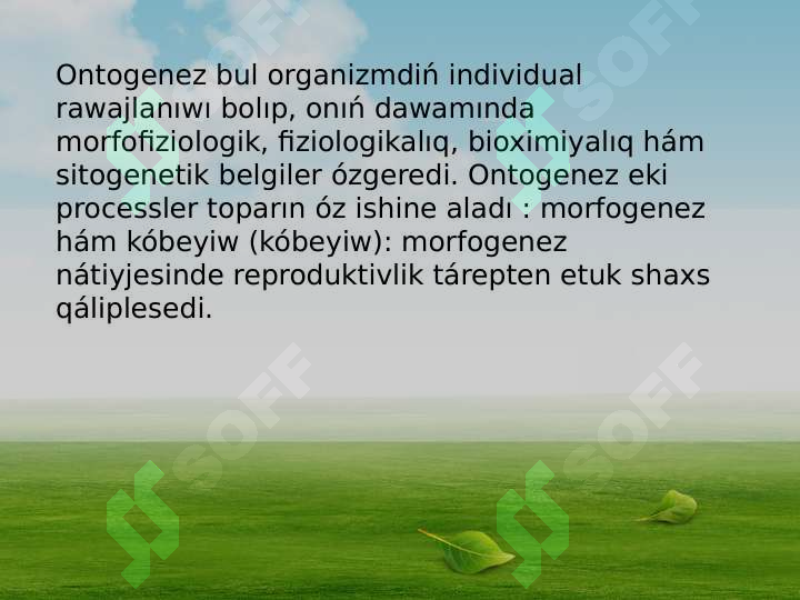 sellerImage