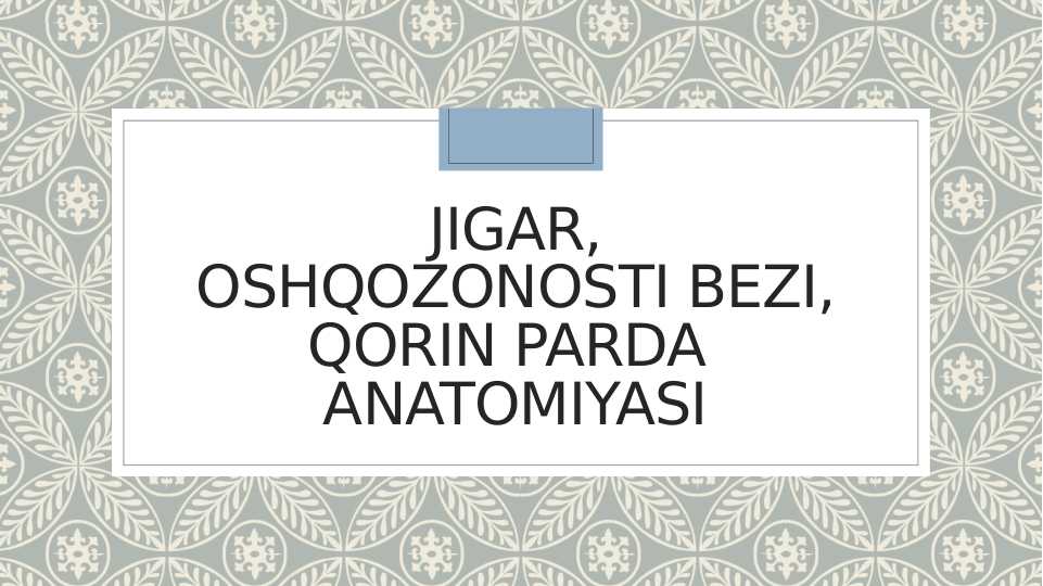 JIGAR, OSHQOZONOSTI BEZI, QORIN PARDA  ANATOMIYASI