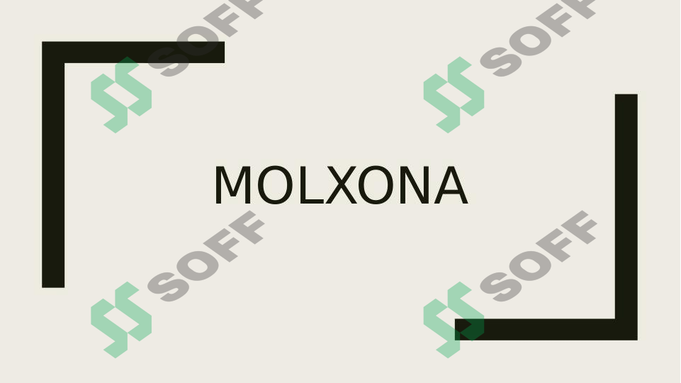 MOLXONA (roman)