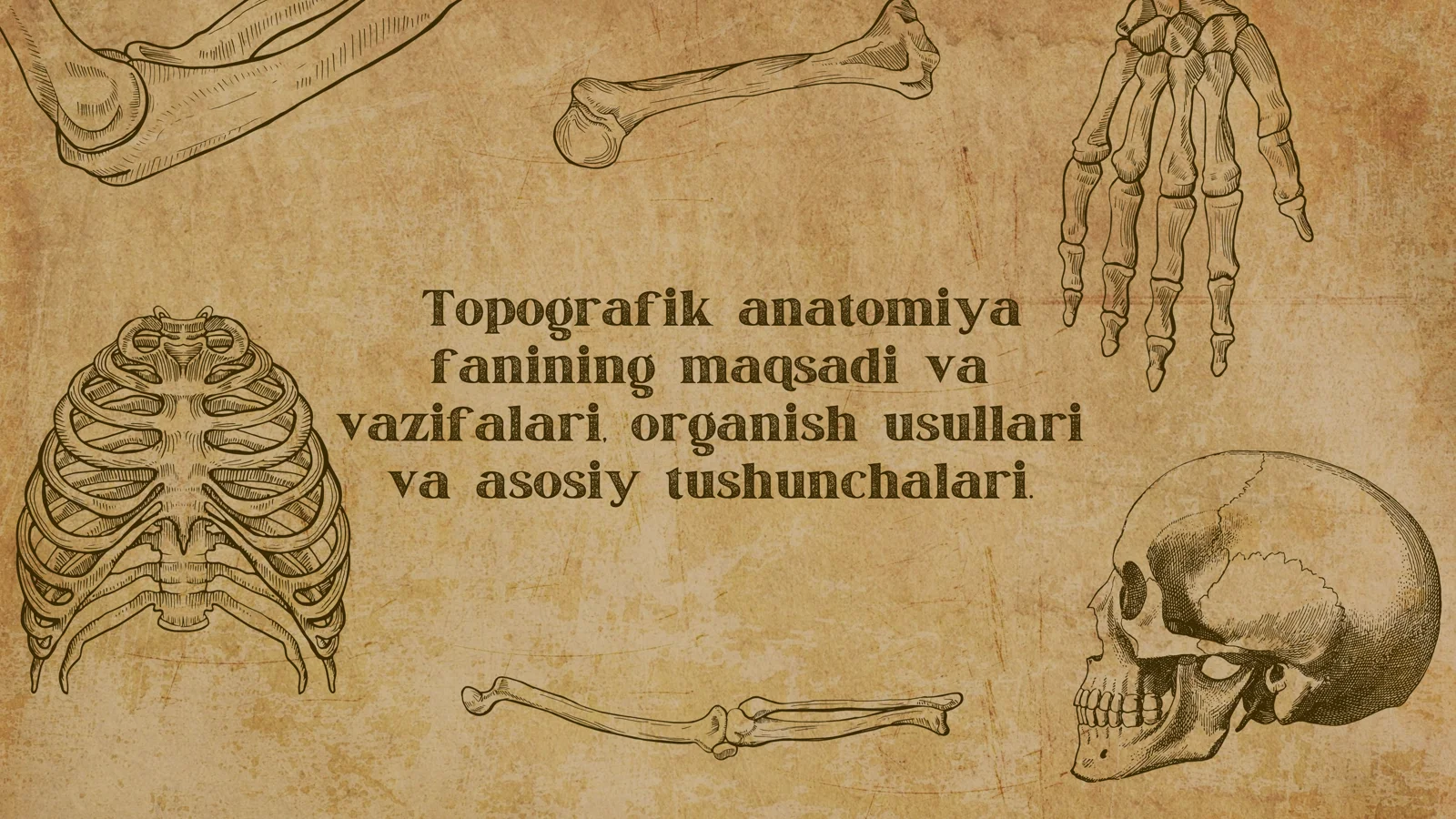 Topografik anatomiya fanining maqsadi va vazifalari, organish usullari va asosiy tushunchalari.