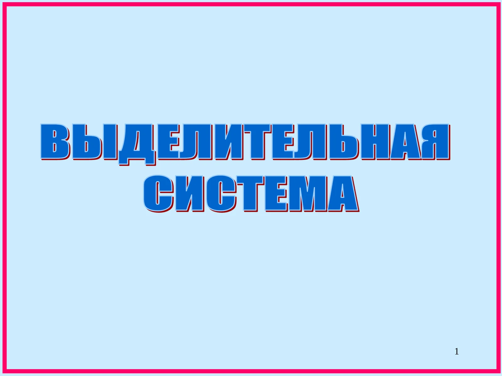 Выделительная система
