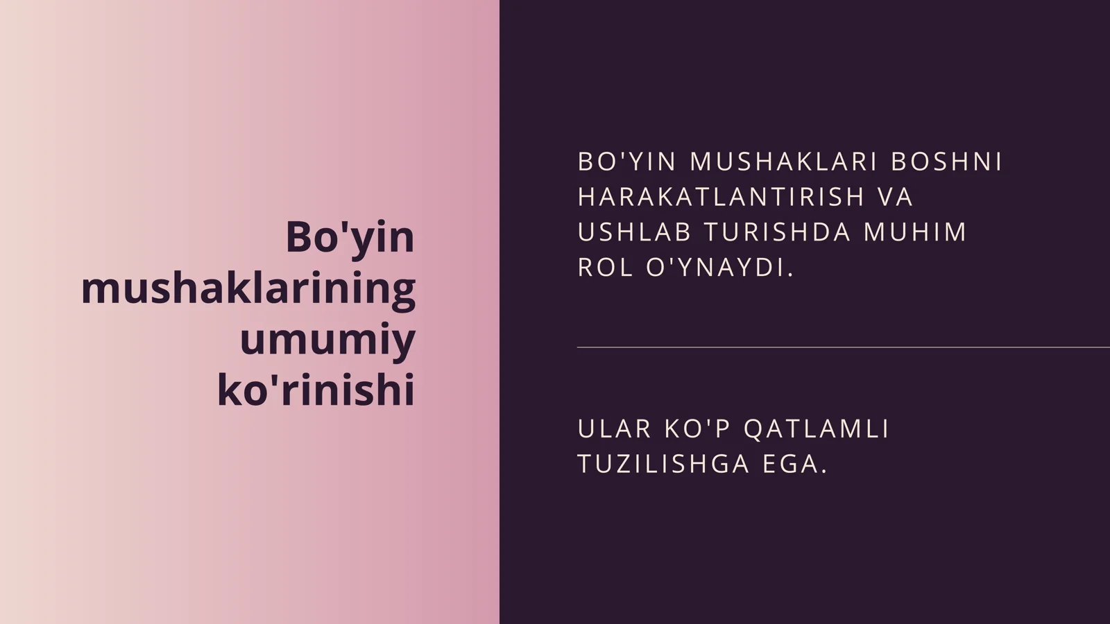 BO'YIN MUSHAKLARI BOSHNI HARAKATLANTIRISH V A USHLAB TURISHDA MUHIM ROL O'YNAYDI