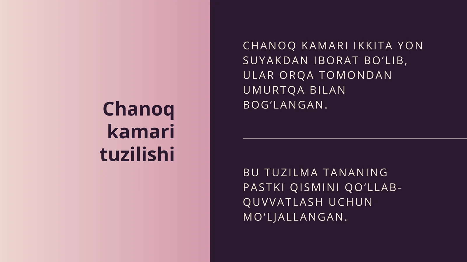 Chanoq kamari tuzilishi