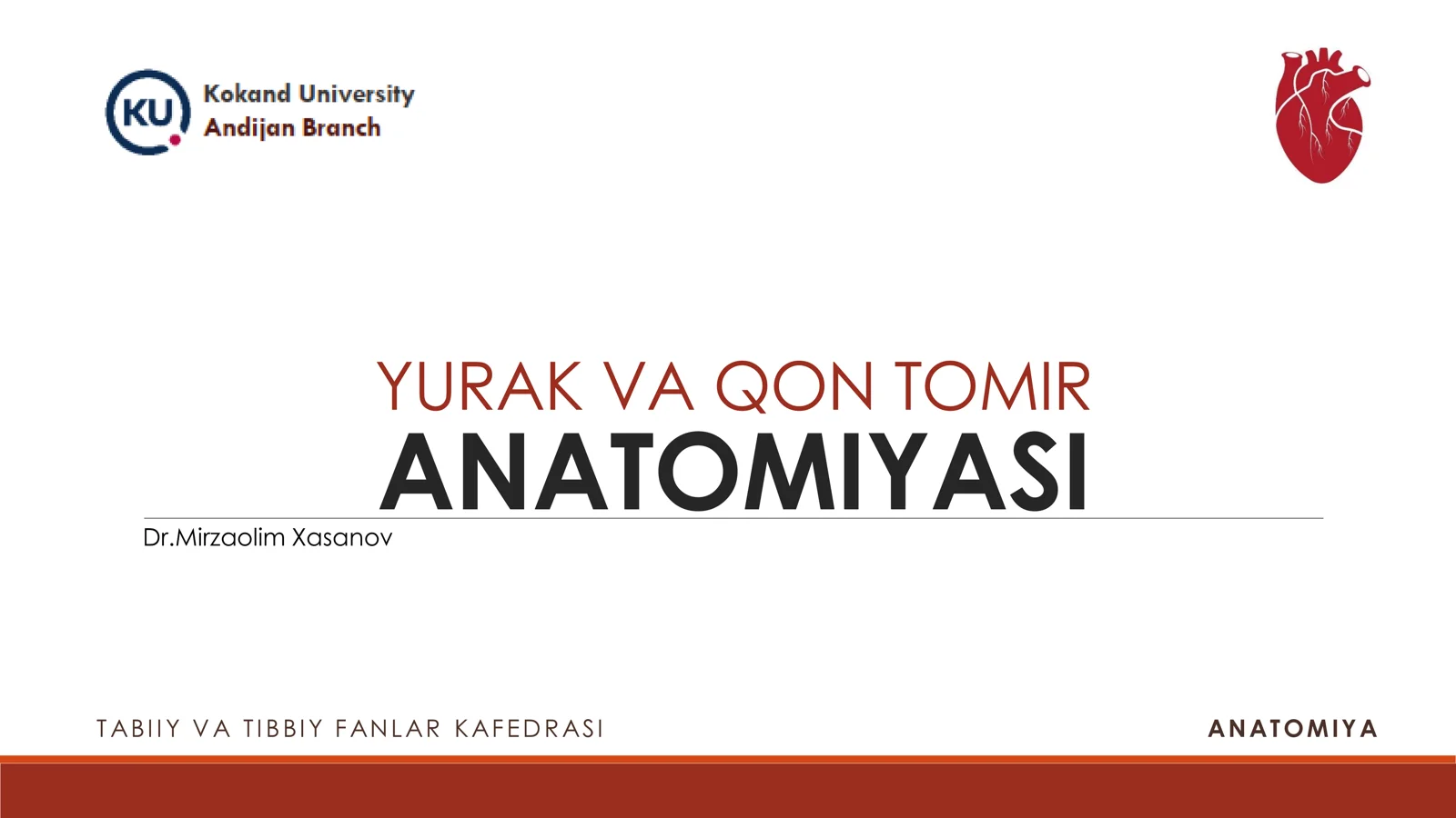 YURAK VA QON TOMIR ANATOMIYASI
