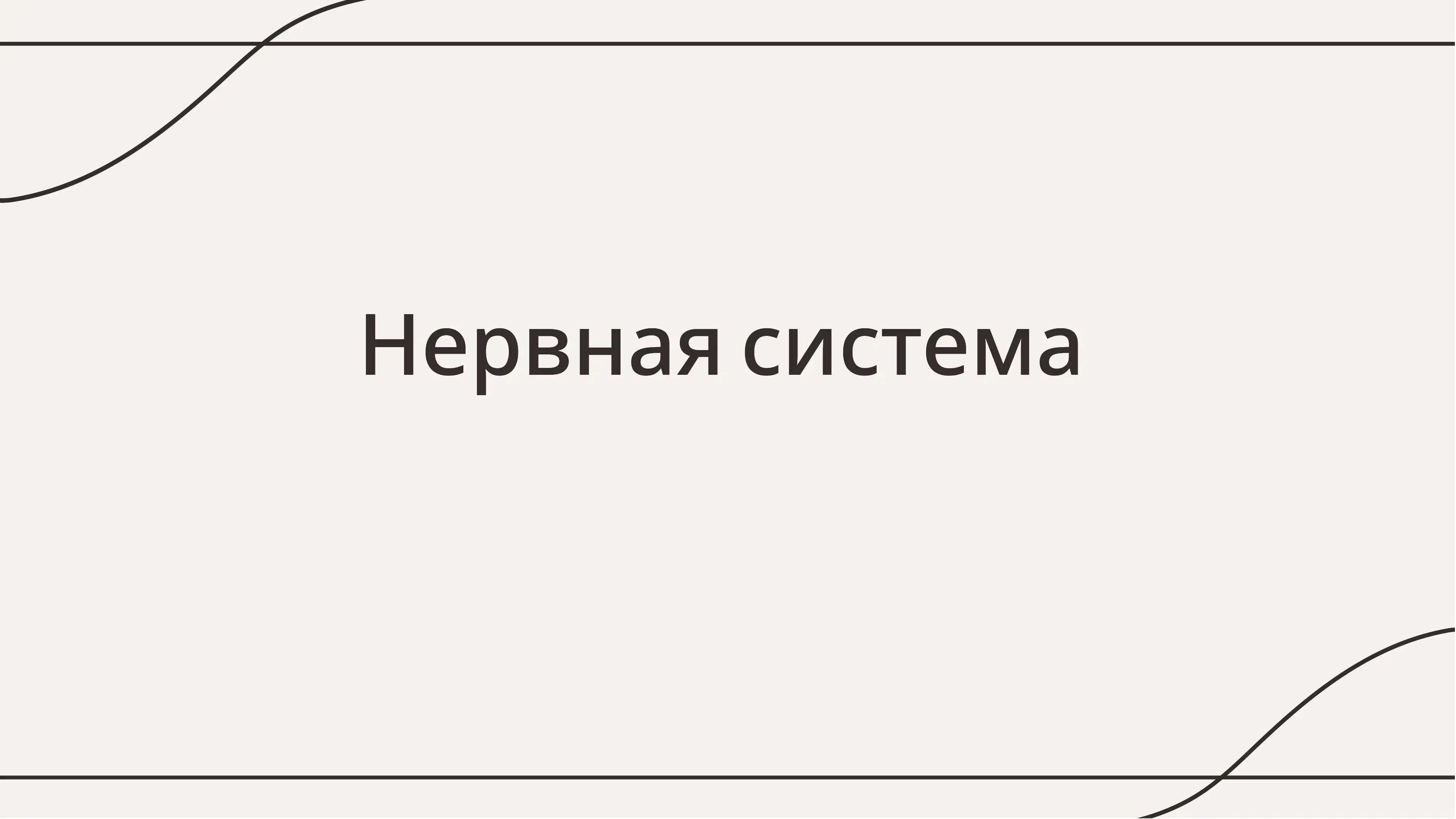 Нервная система