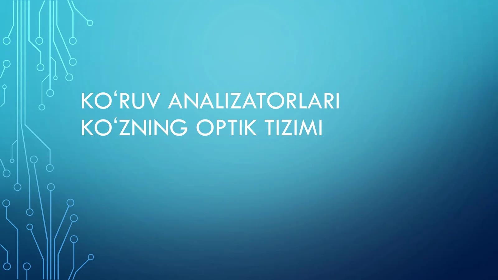 KOʻRUV ANALIZATORLARI