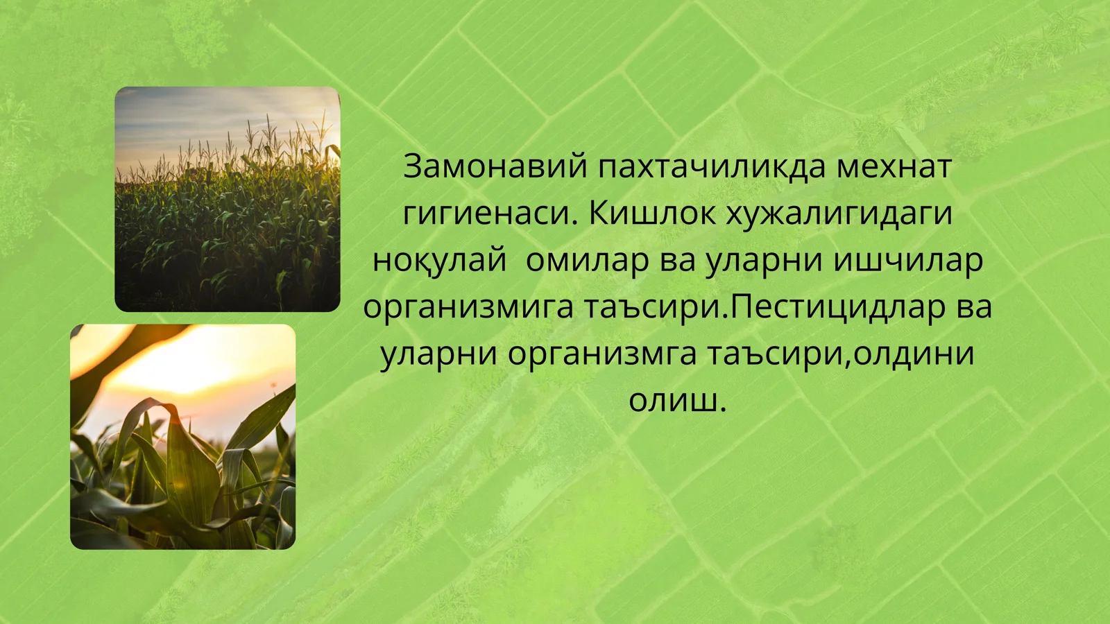 Замонавий пахтачиликда мехнат гигиенаси