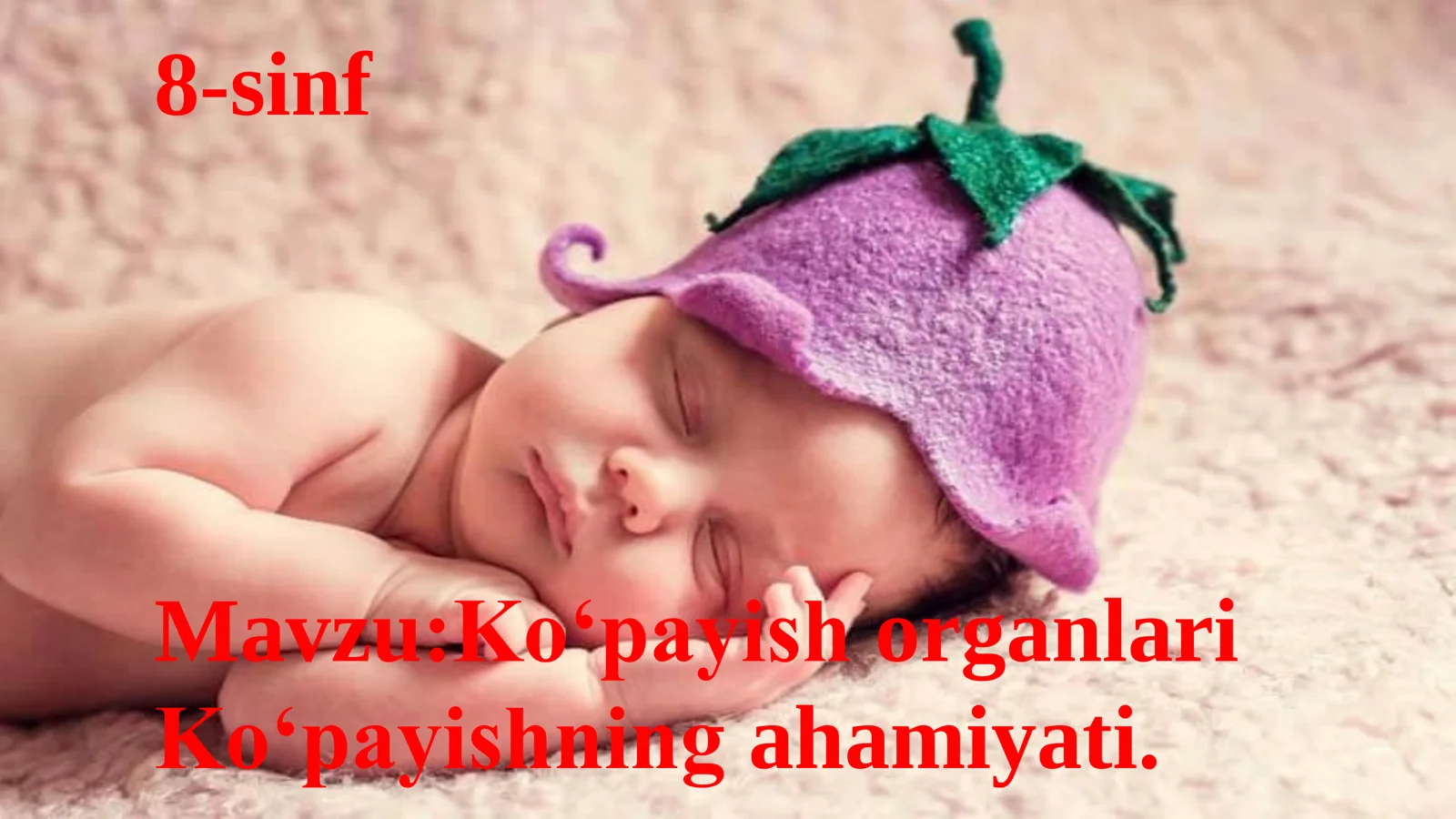 8-Sinf Biologiya: “Ko‘payish organlari va Ko‘payishning Ahamiyati” Taqdimot