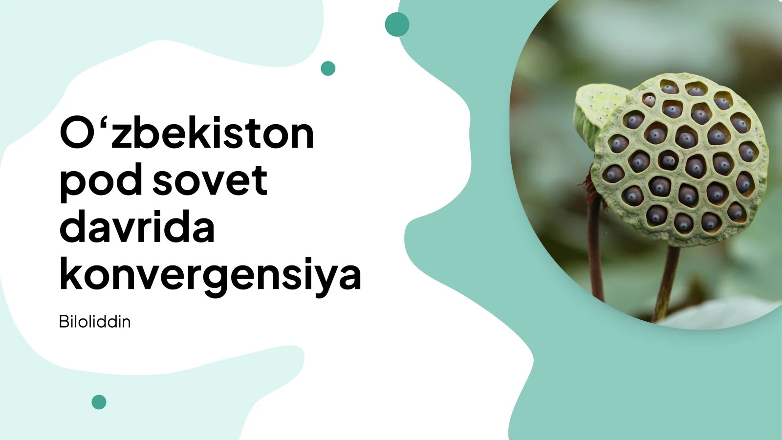 Iqtisodiy konvergensiya va rejalashtirish