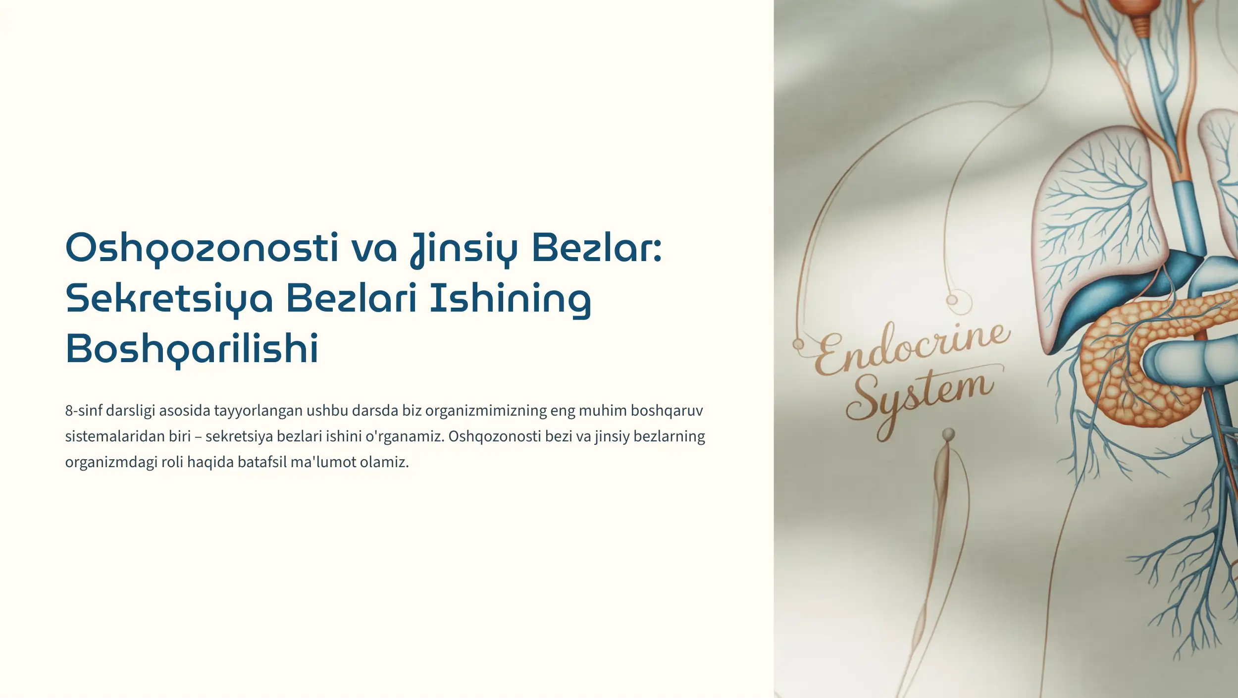 Oshqozonosti va Jinsiy Bezlar