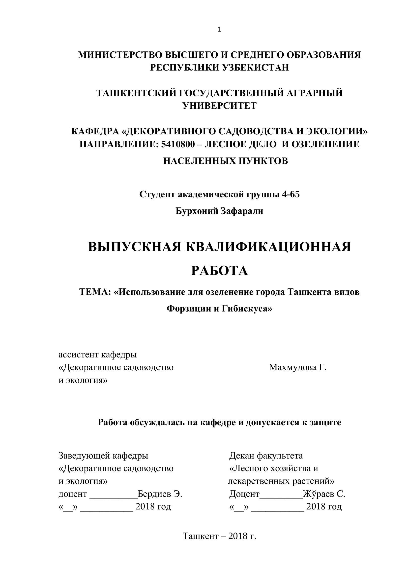 Выпускная квалификационная работа