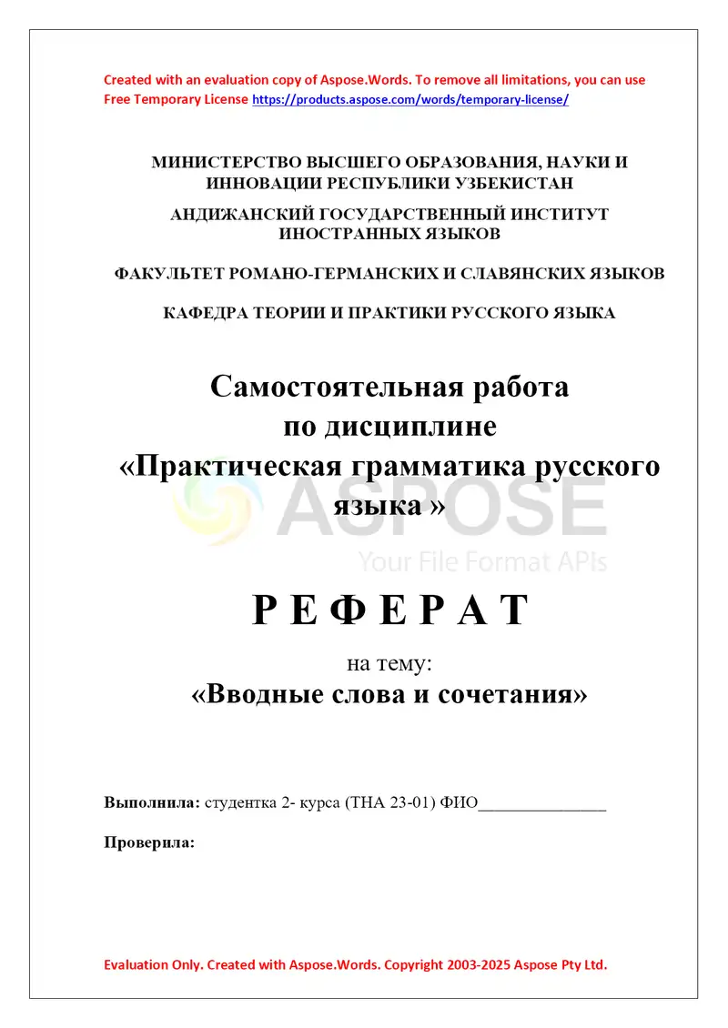 Реферат по дисциплине «Практическая грамматика русского языка» на тему «Вводные слова и сочетания»