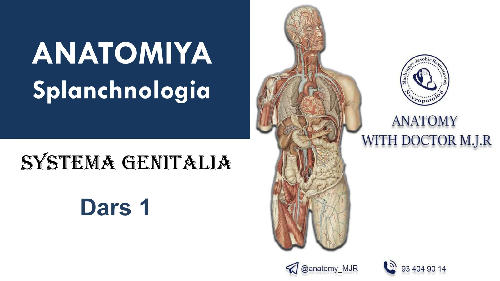 organa genitaliya. ayirish sitemasi