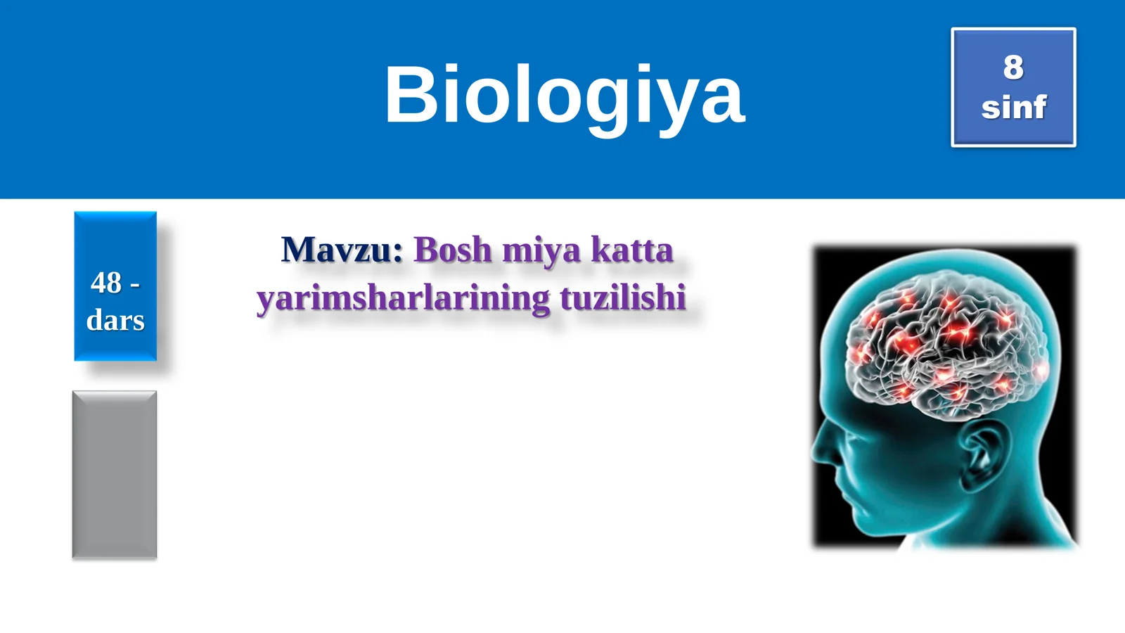 8-Sinf Biologiya: “Bosh Miya Katta Yarimsharlarining Tuzilishi” Taqdimot