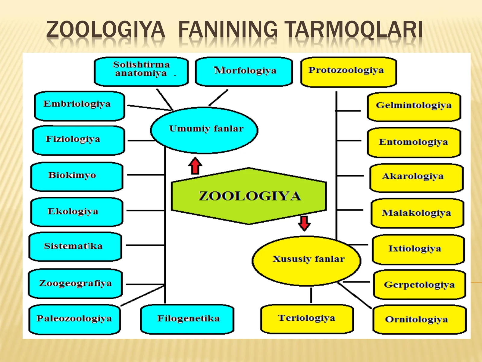 ZOOLOGIYA FANINING TARMOQLARI