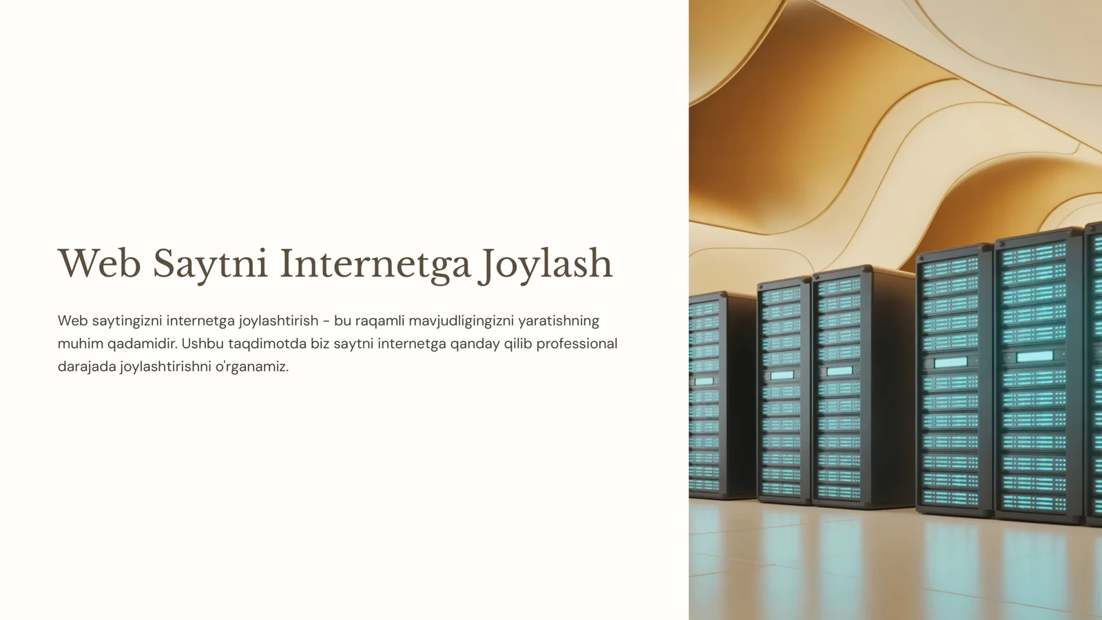 Web Saytni Internetga Joylash