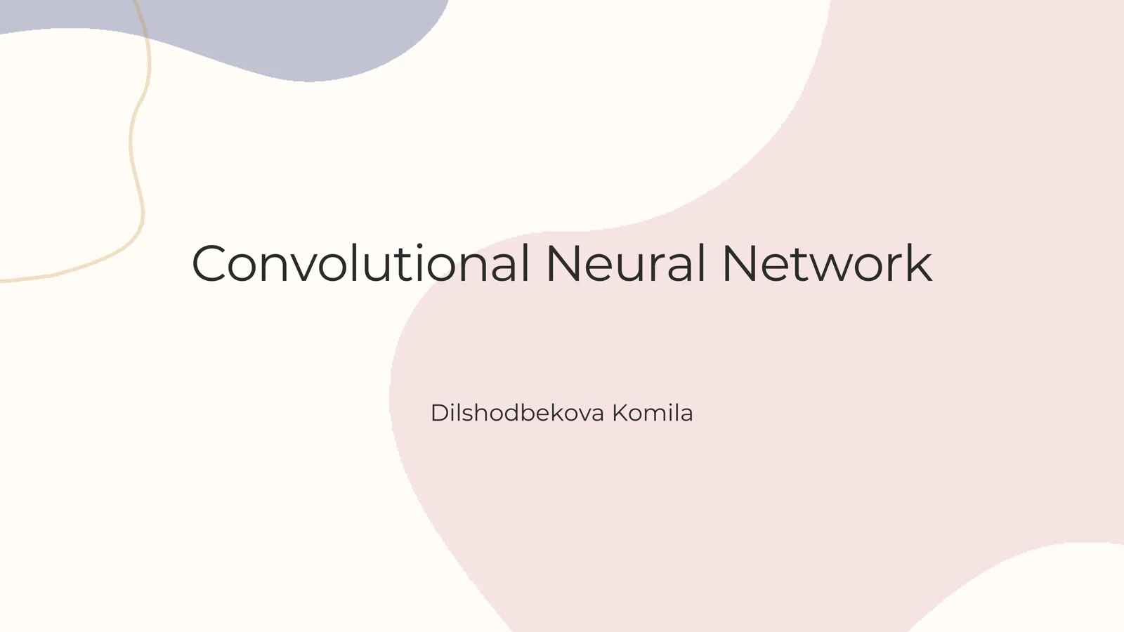 Convolutional Neural Network