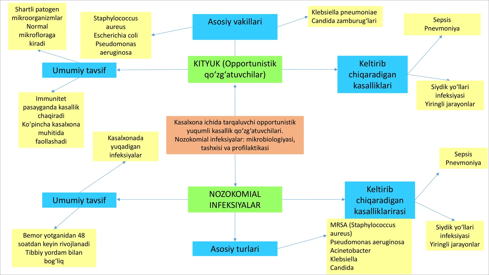 Nozokomial infeksiyalar: mikrobiologiyasi, tashxisi va profilaktikasi