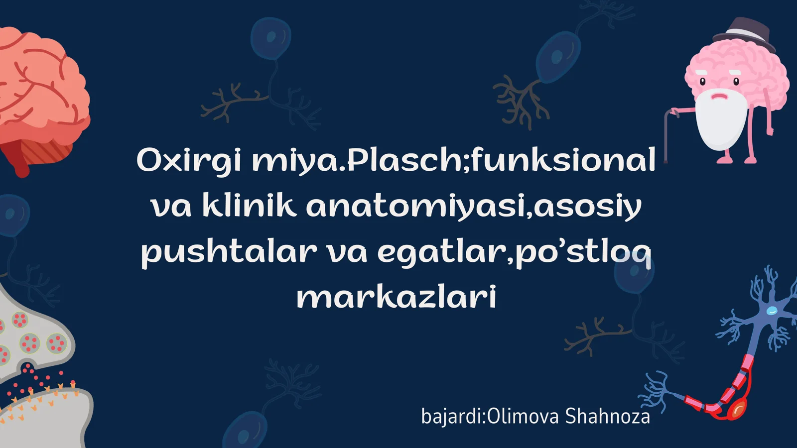 Oxirgi miya.Plasch,funksionalva klinik anatomiyasi,asosiy pushtalar va egatlar