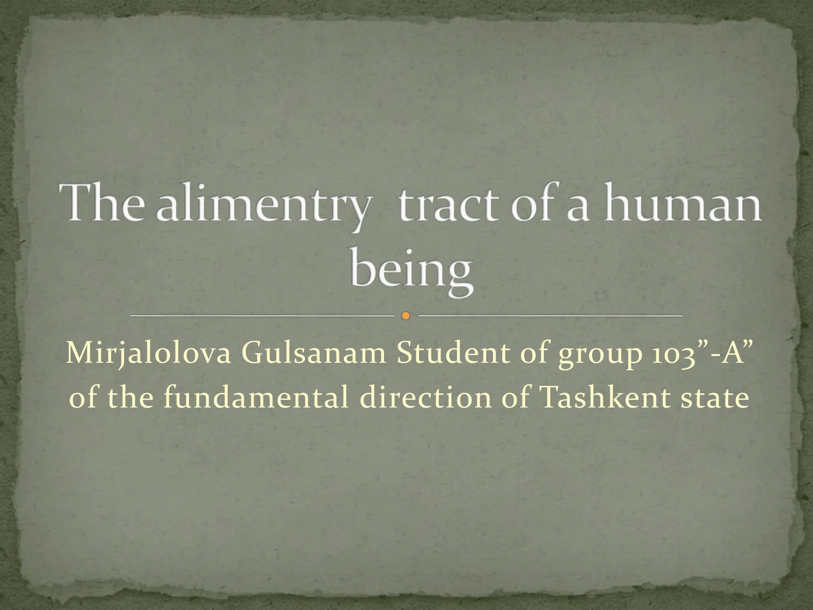 The alimentry tract of a human being