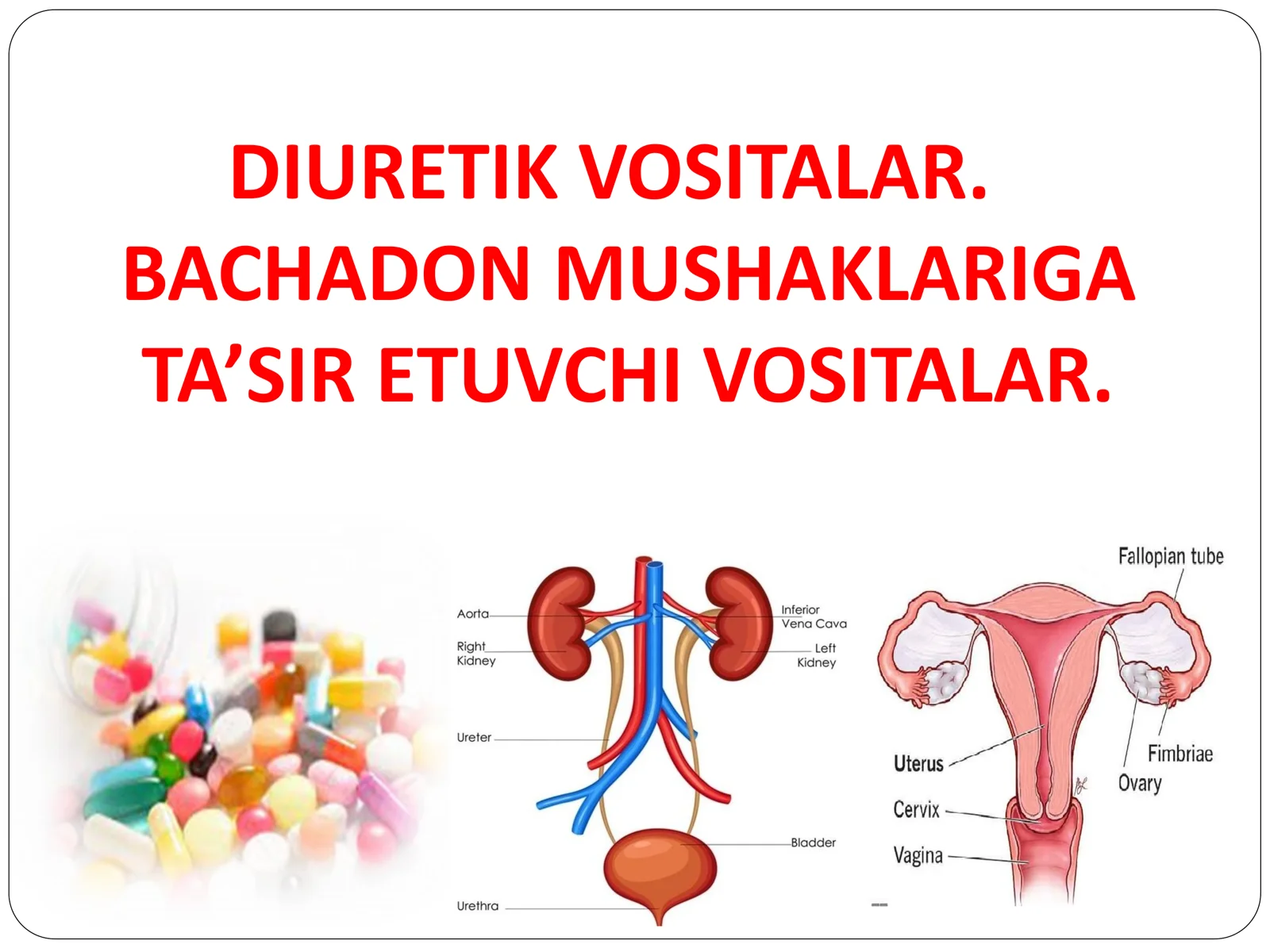 Diuretik vositalar va Bachadon mushaklariga ta'sir etuvchi dori vositalar