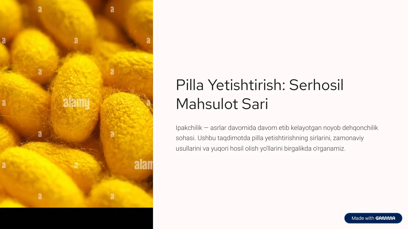 Pilla Yetishtirish: Serhosil Mahsulot Sari