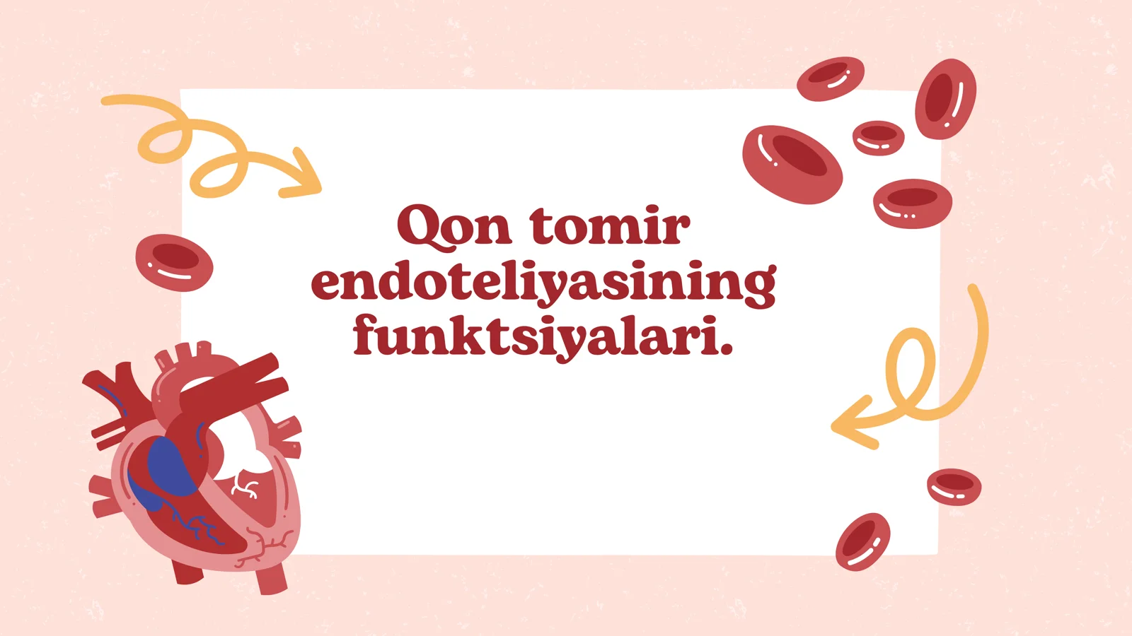 Qon tomir endoteliyasining funktsiyalari.