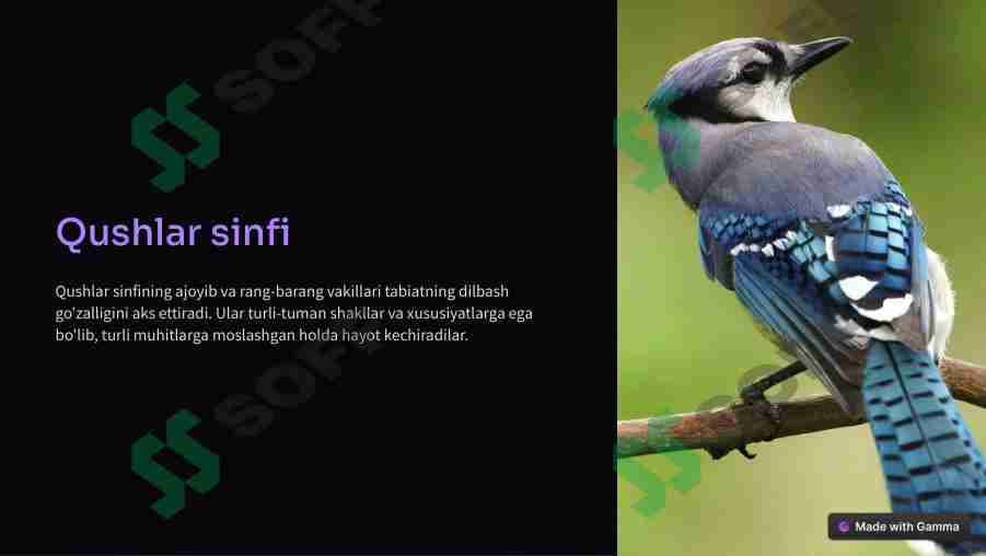 sellerImage