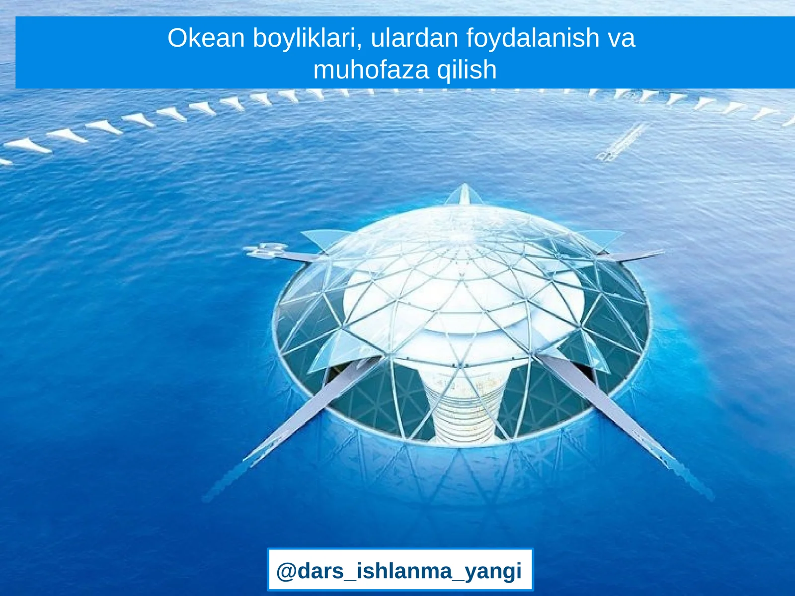 Okean boyliklari, ulardan foydalanish va muhofaza qilish