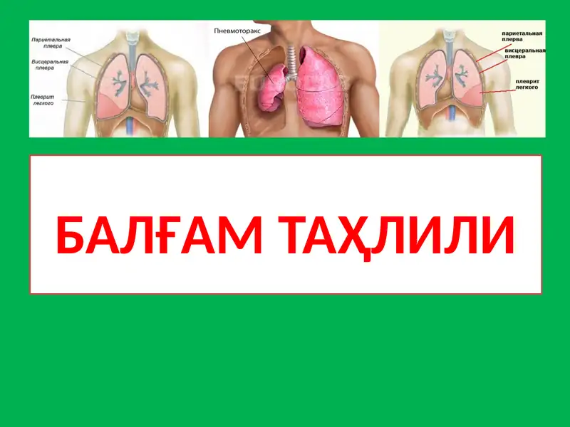 Балғам Таҳлили
