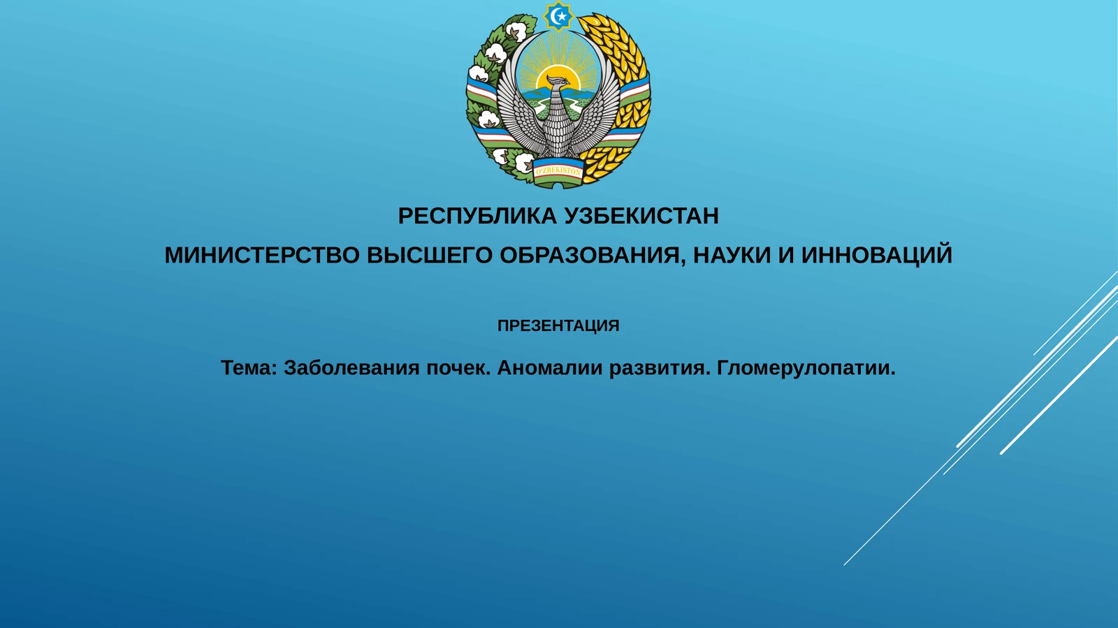 Презентация Заболевания почек. Аномалии развития. Гломерулопатии
