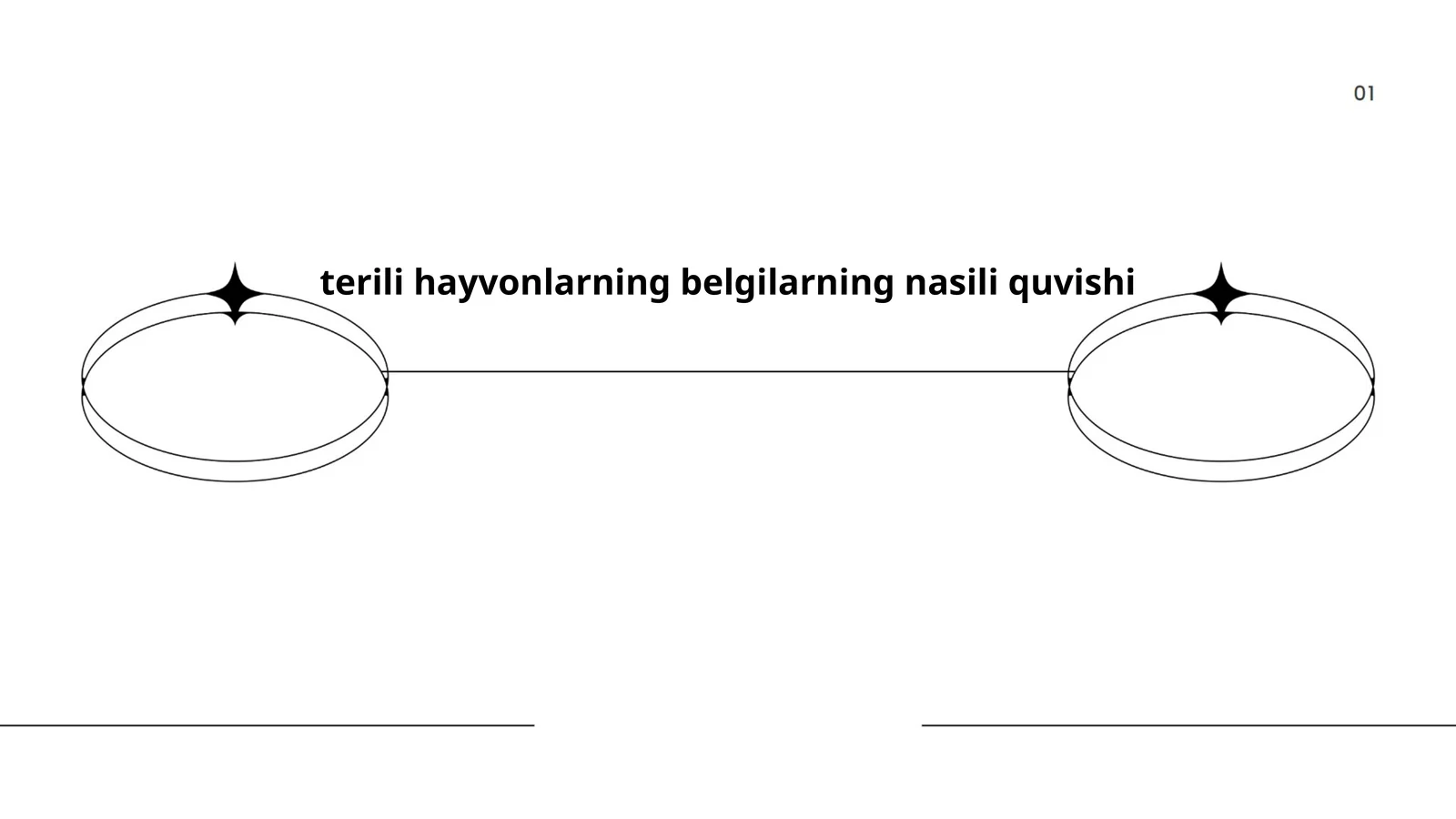Terili hayvonlar anatomiyasi