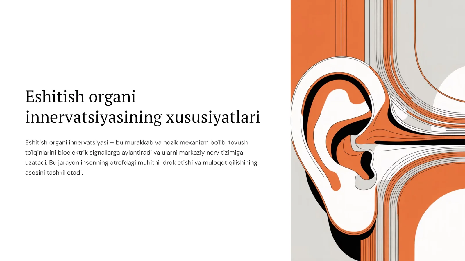 Eshitish organi innervatsiyasining xususiyatlari