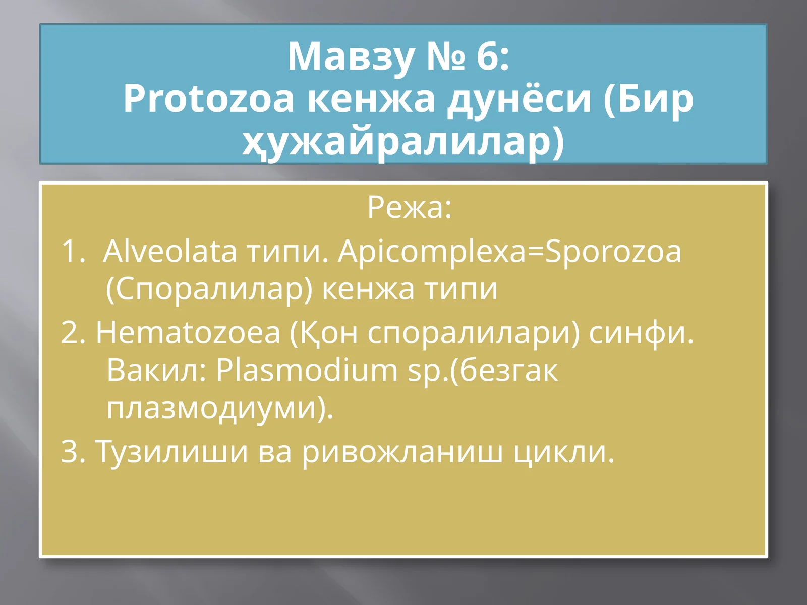 Protozoa кенжа дунёси (Бир ҳужайралилар)