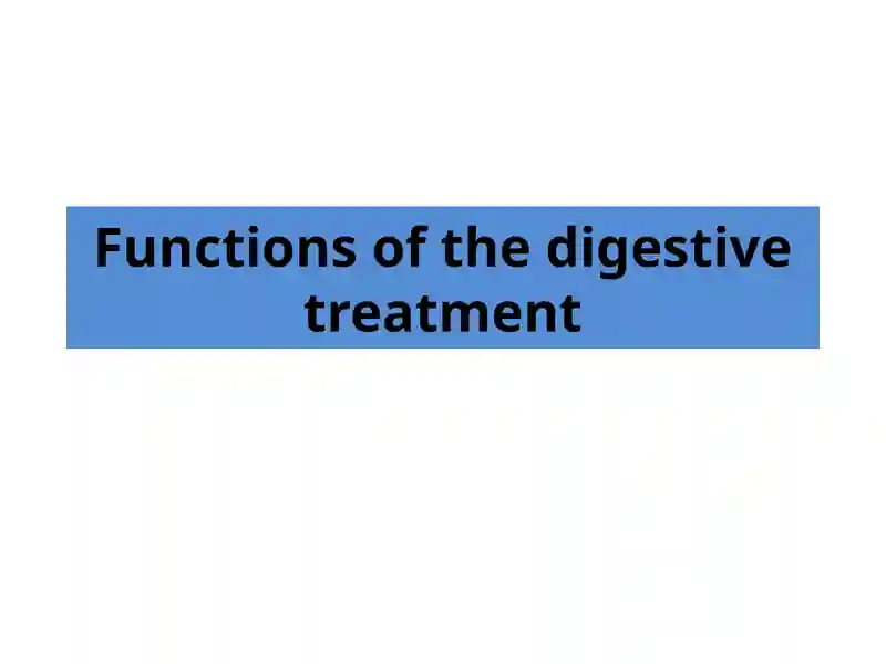 Functions of the digestive treatment