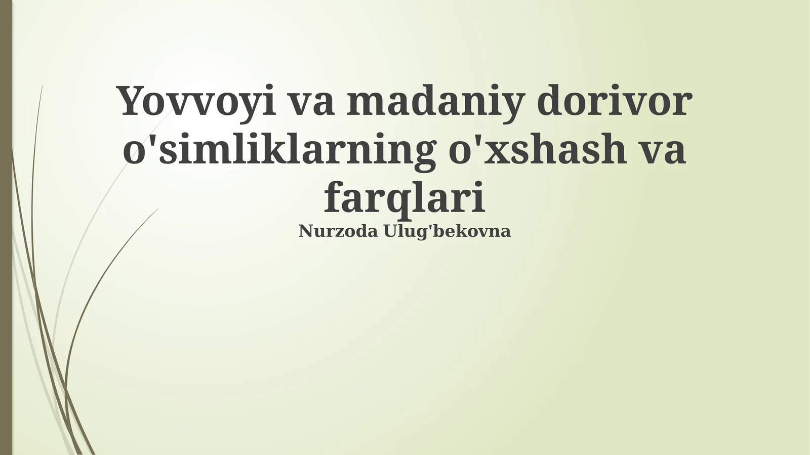Yovvoyi va madaniy dorivor o'simliklarning o'xshash va farqlari