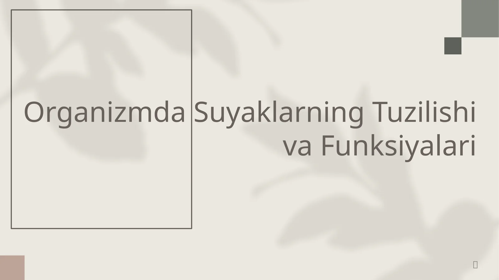 Organizmda Suyaklarning Tuzilishi va Funksiyalari