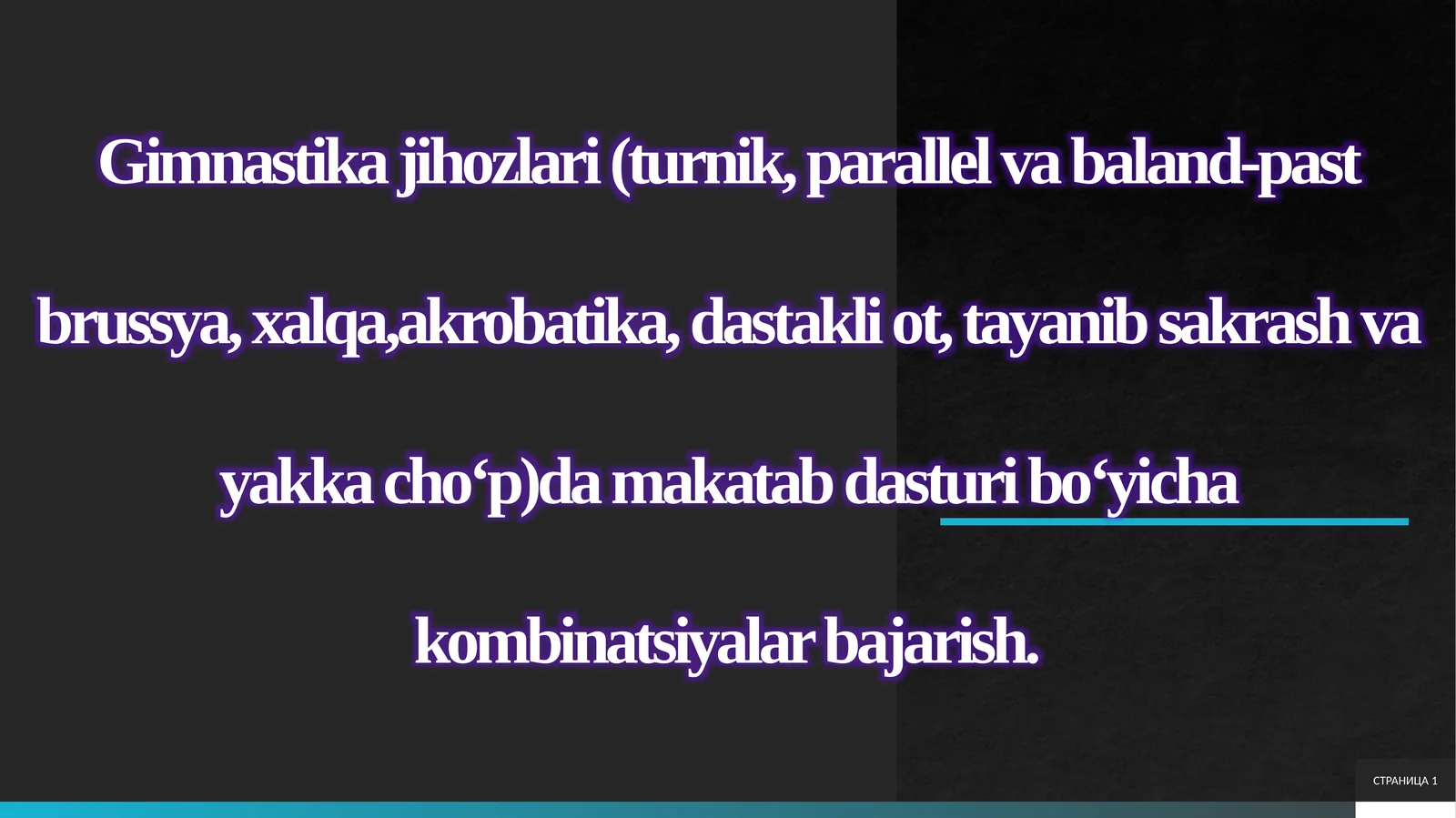 Gimnastika jihozlari (turnik, parallel va baland-past brussya, xalqa,akrobatika