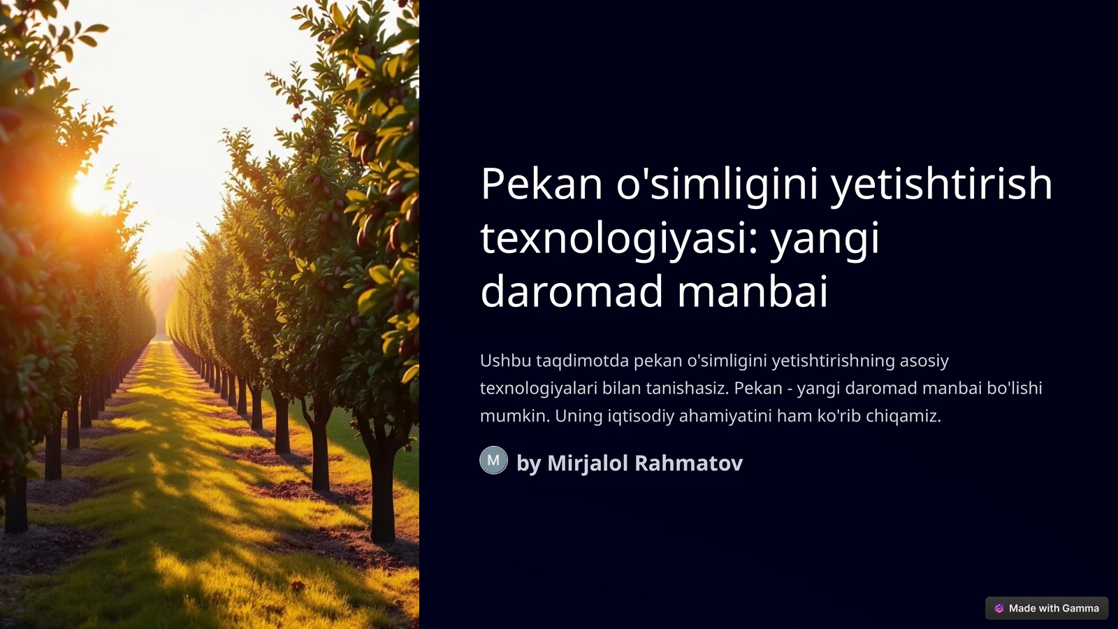 Pekan yetishtirish texnologiyasi