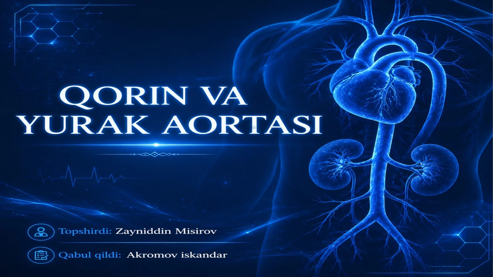Qorin va yurak aortasi
