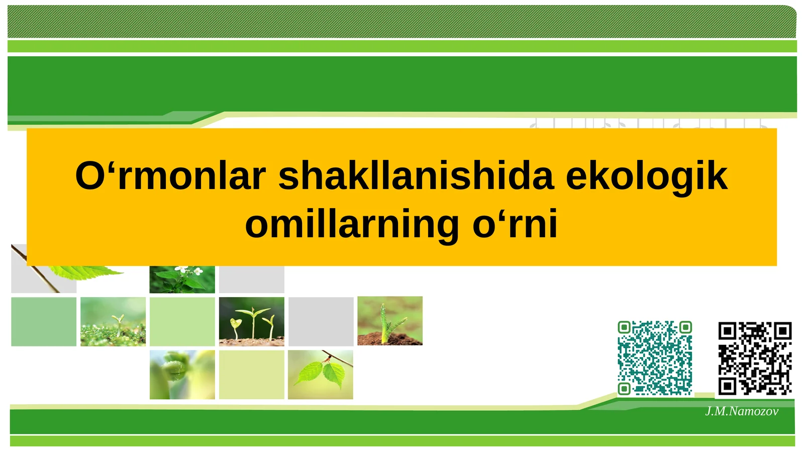 O‘rmonlar shakllanishida ekologik omillarning о‘rni