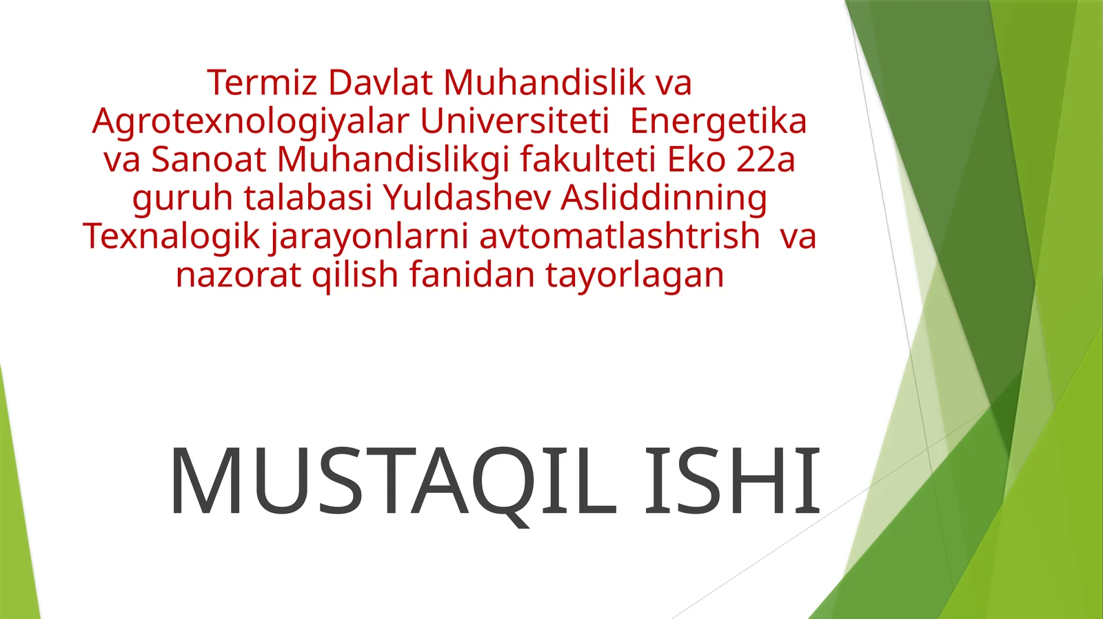 mustaqil ish